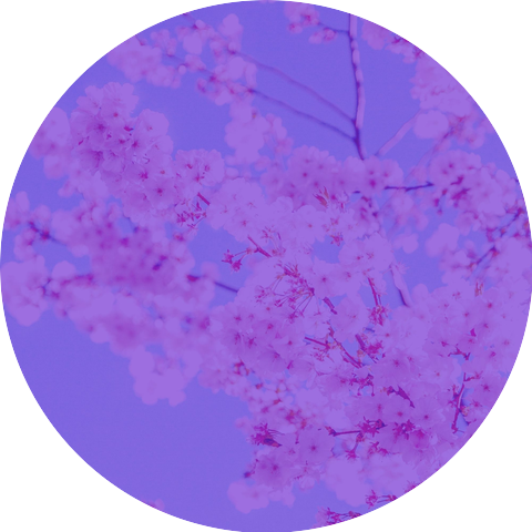 Comfortable Chakra Music