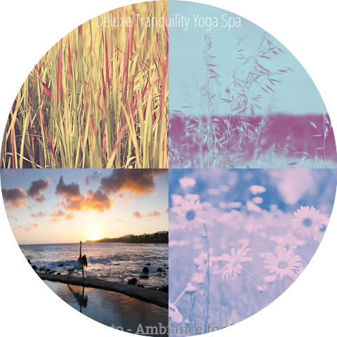 Deluxe Tranquility Yoga Spa