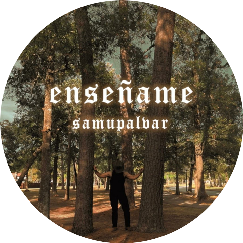 SamuPalvar