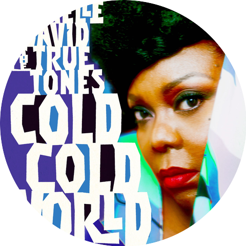 Michelle David & The True-tones