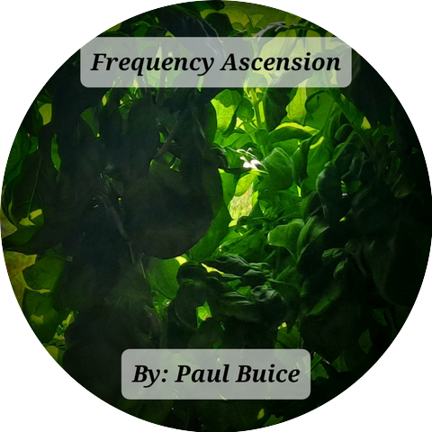 Paul Buice
