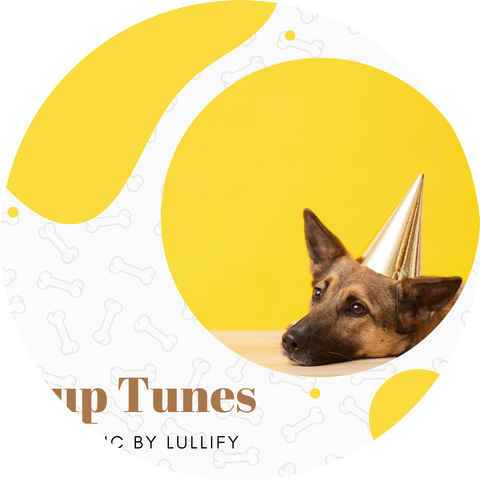 Spa Music by Lullify