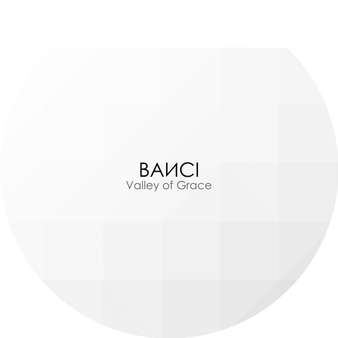 BAИCI