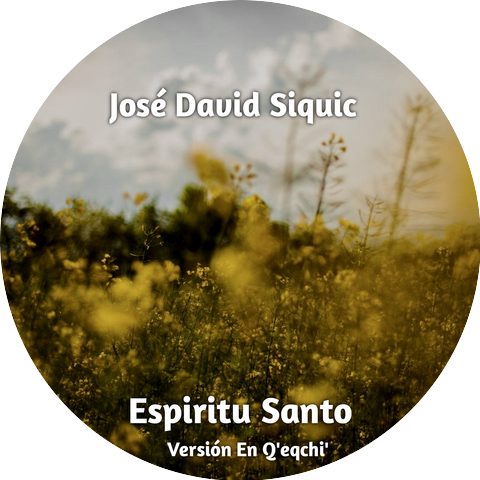 José David Siquic