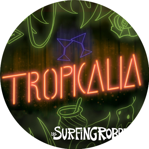 The Surfing Robbers