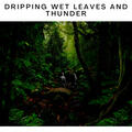 Thunderstorm and Calming Rainforest Thunderstorm Sounds