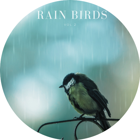 Rain & Birds