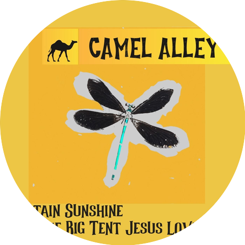 Camel Alley
