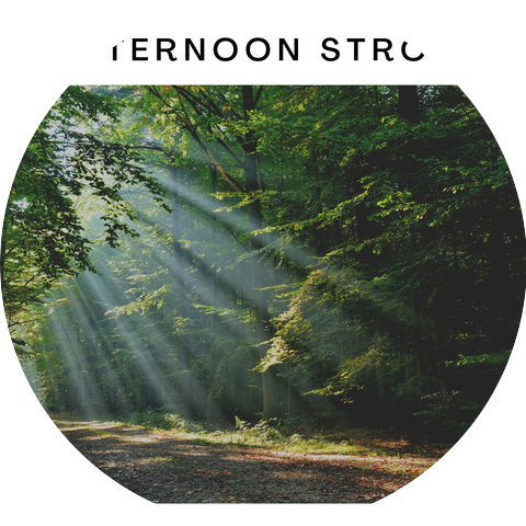 Rainforest Stream - Forest Sounds