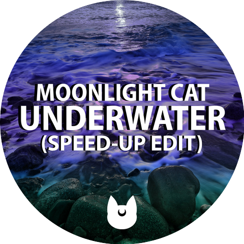 Moonlight Cat