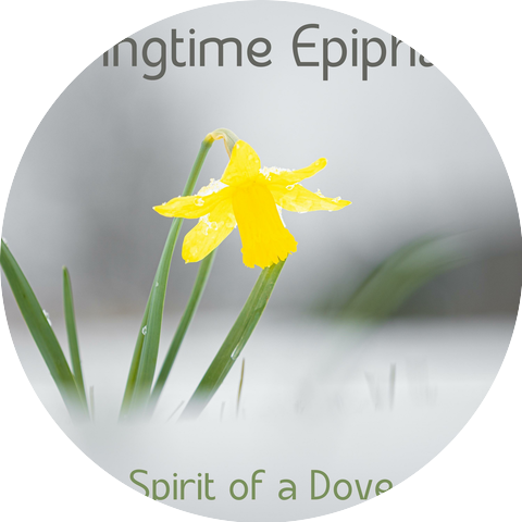 Spirit of a Dove
