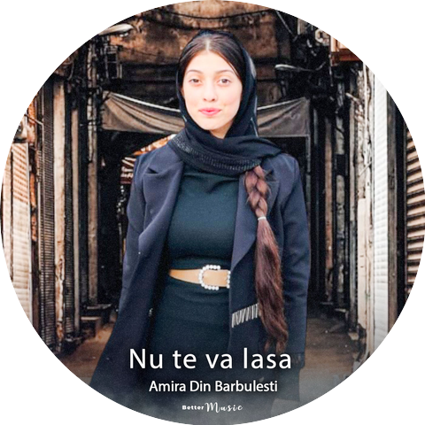 Amira din Barbulesti