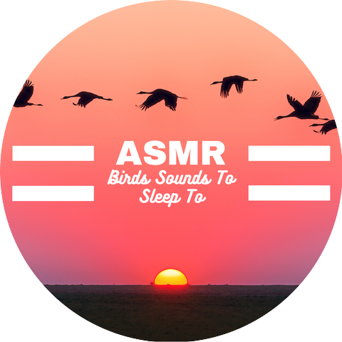 ASMR Annie & ASMR Olivia
