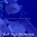 Soft Jazz Orchestra