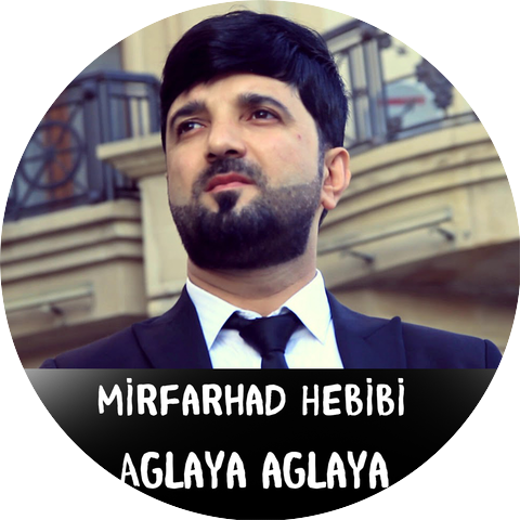 Mirfarhad Hebibi