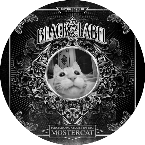 mostercat