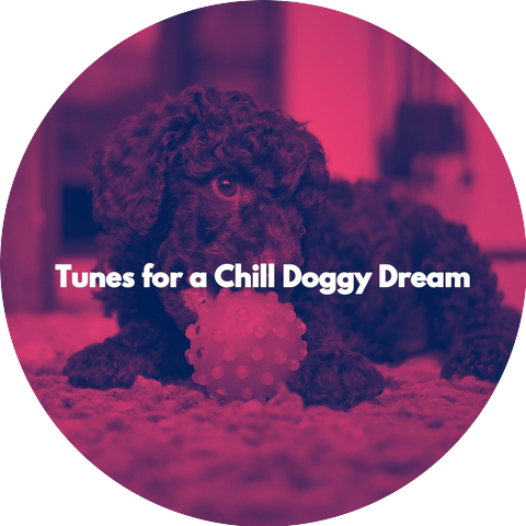 Morning Music Classics