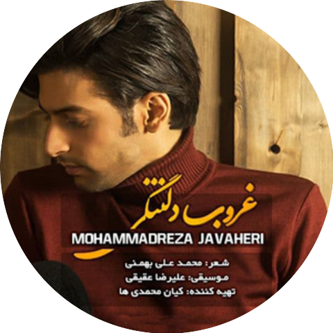 Mohammadreza Javaheri & Alireza Aghighi