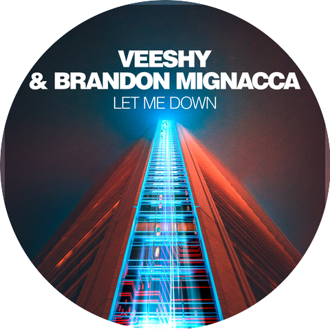 Veeshy & Brandon Mignacca