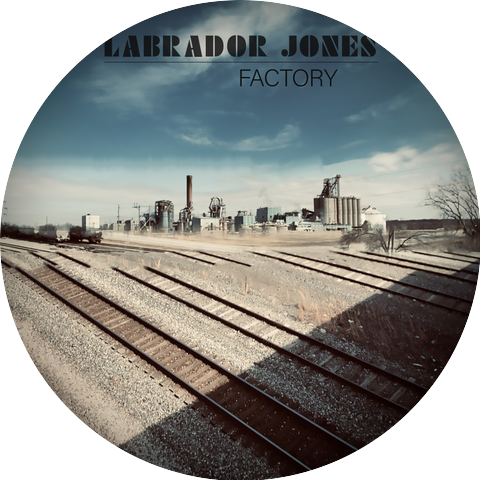 Labrador Jones