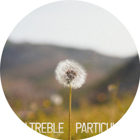 Dani Treble