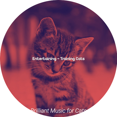Brilliant Music for Cats