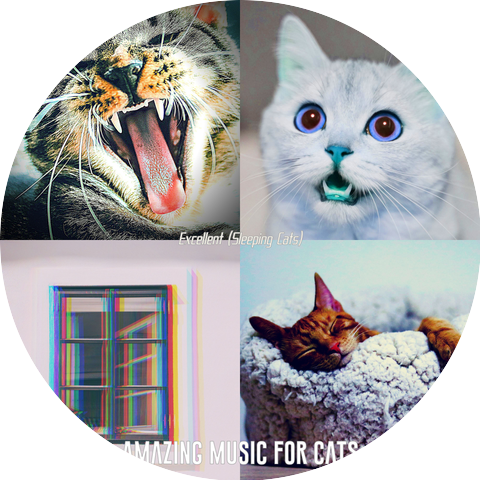 Amazing Music for Cats