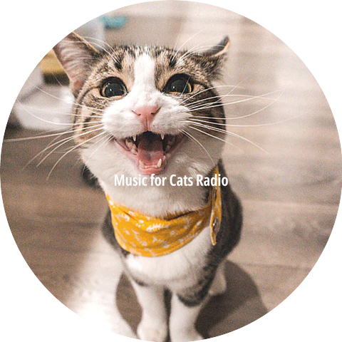 Music for Cats Radio