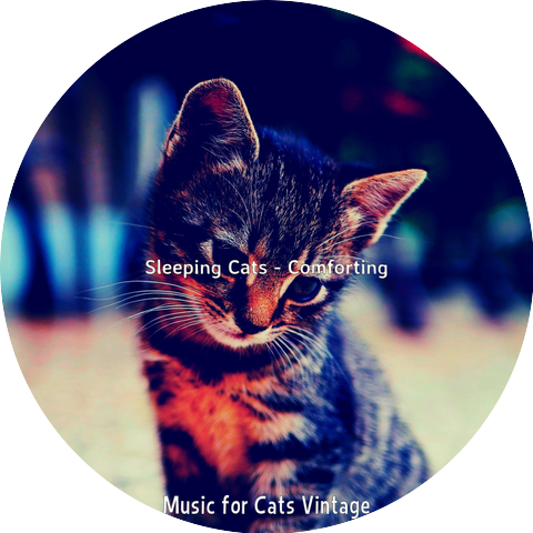 Music for Cats Vintage