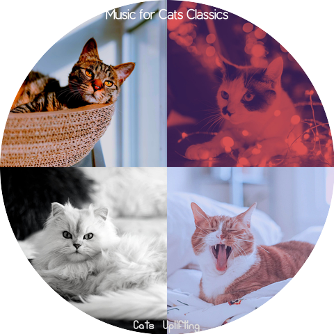 Music for Cats Classics
