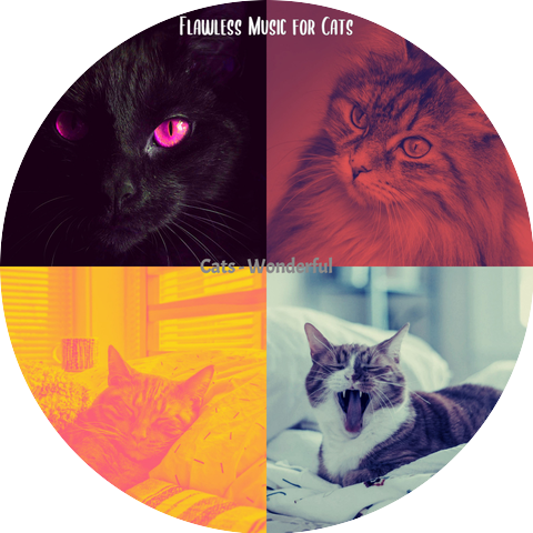 Flawless Music for Cats