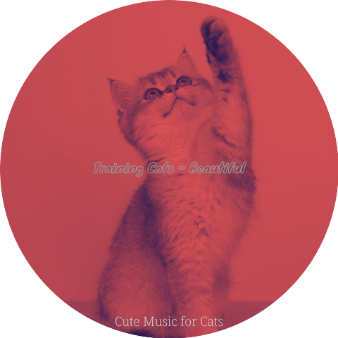 Cute Music for Cats