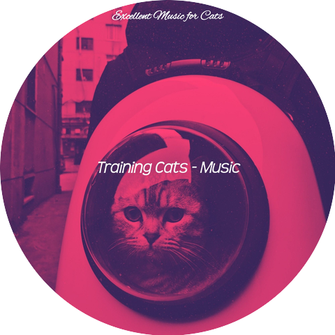 Excellent Music for Cats