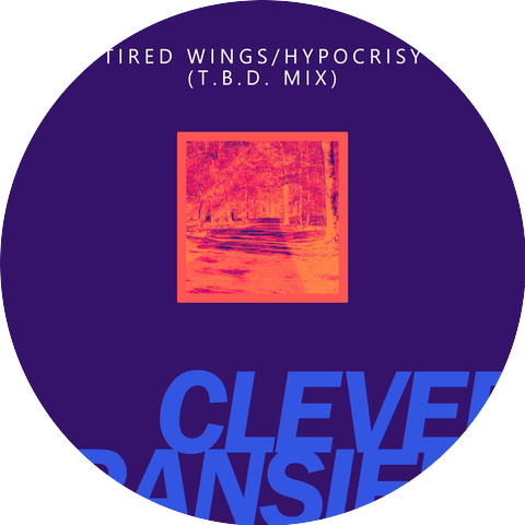 Clever Transient