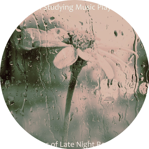 Calm Studying Music Playlists