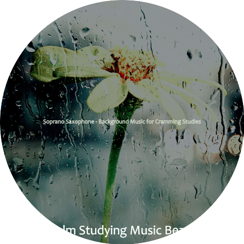 Calm Studying Music Beats