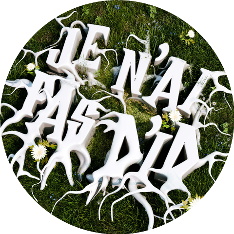 411pl
