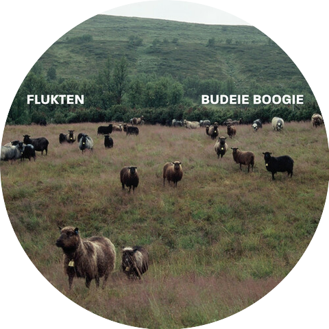 Flukten