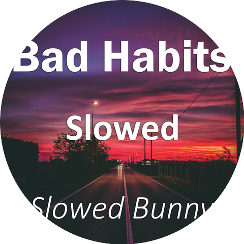Slowed Bunny