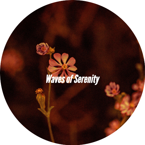 Music for Reading Play List