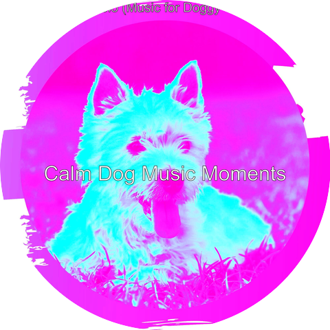 Calm Dog Music Moments