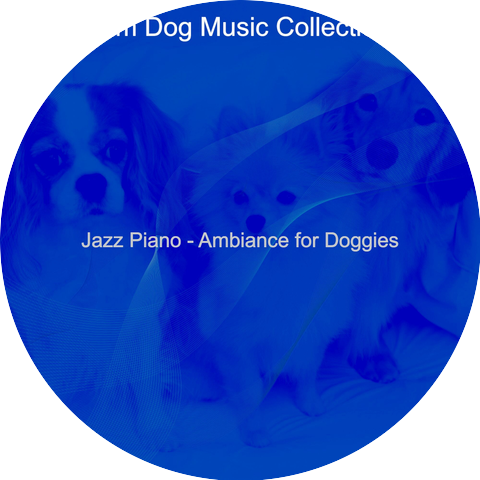 Calm Dog Music Collections