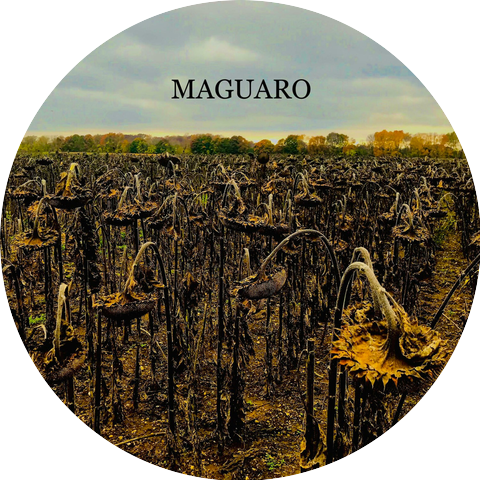 Maguaro