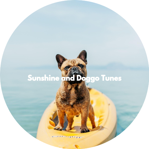 Calm Dog Music Playlist
