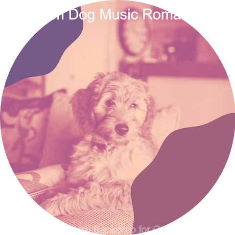 Calm Dog Music Romance