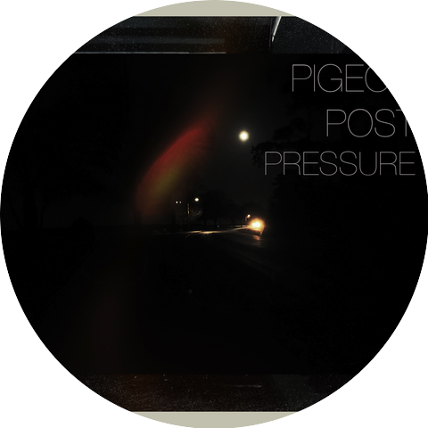 Pigeon Post