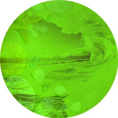 ASMR Ocean Waves Moments