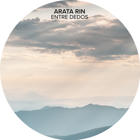 Arata Rin