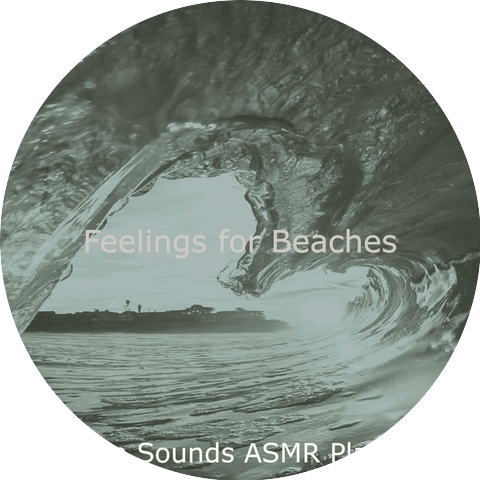 Ocean Sounds ASMR Playlists