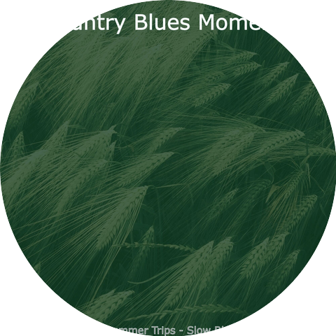 Country Blues Moments